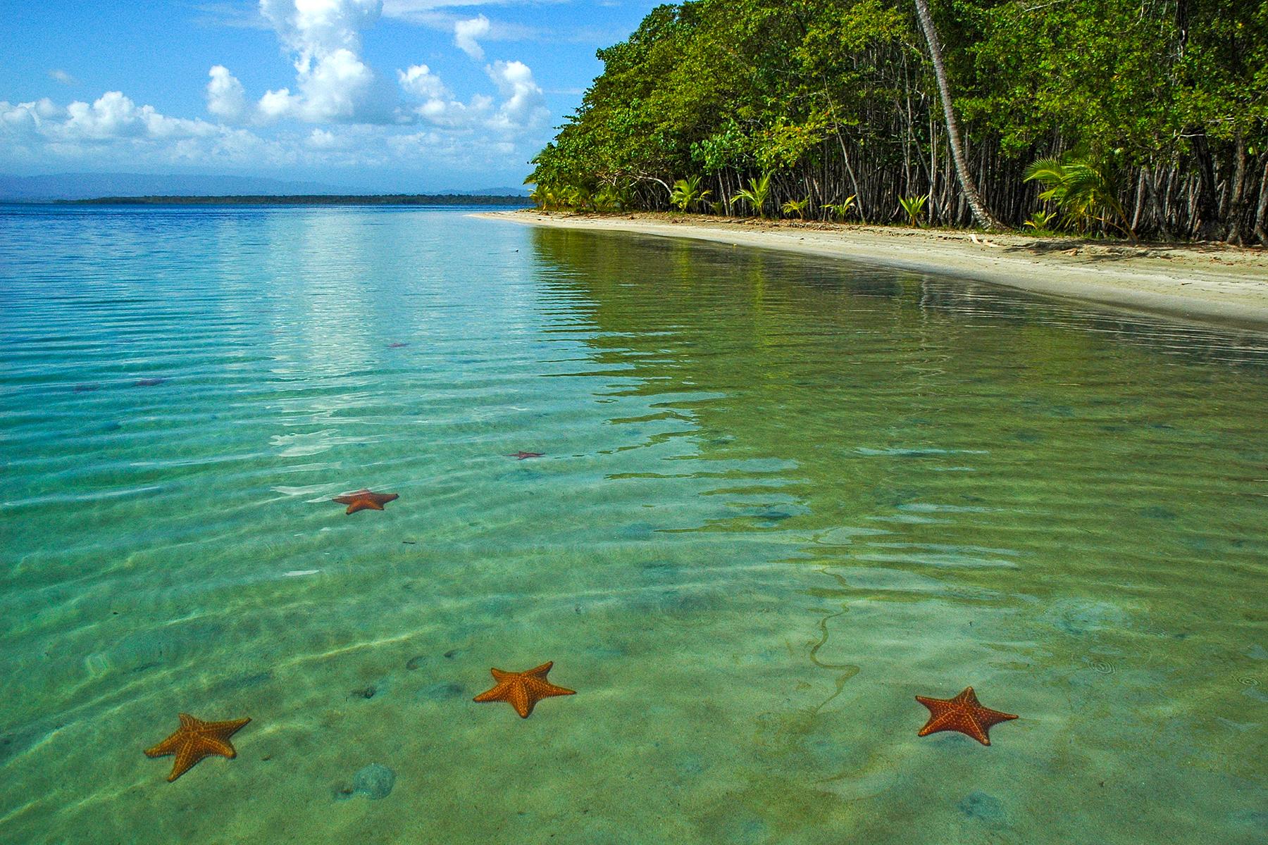 The Best Beaches in Panama