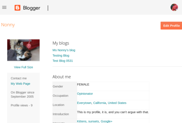 How to Write a Killer Blogger Profile That Grows Traffic 2
